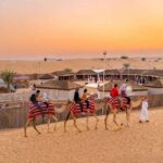 Dubai Desert Safari