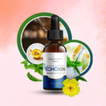 EchoXen