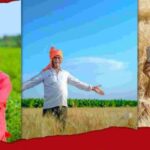 government schemes