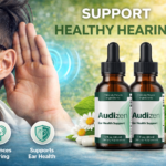 Audizen