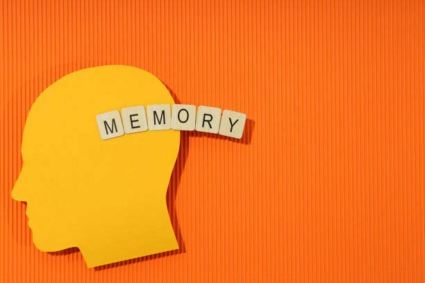 The Role of Memory in Reconciliation: Can True Healing Happen Without Forgetting?