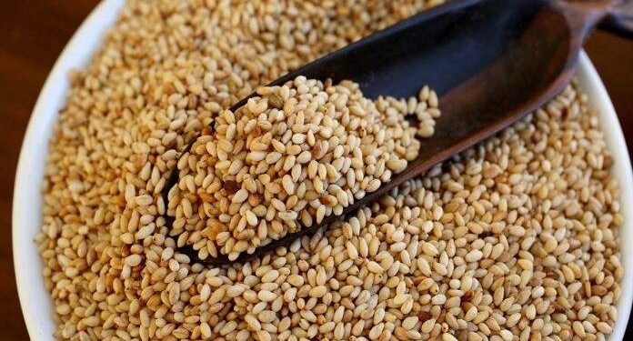 sesame seeds exporters