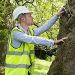 Tree Survey Reports