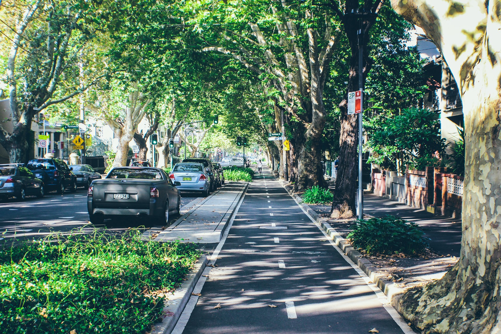 Surry Hills