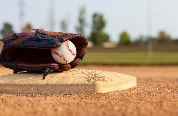 baseball backstop