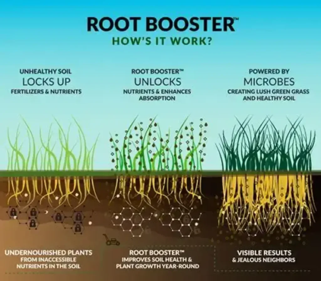 How-Effective-Are-Plant-Starters-and-Root-Boosters