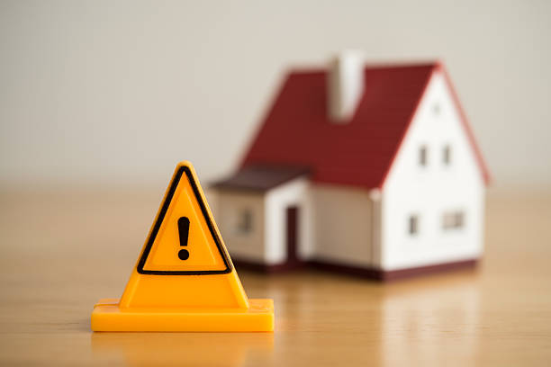 istockphoto-2212886924-612x612 (1)