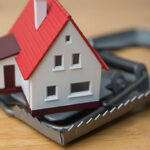istockphoto-2214307217-612x612 (1)