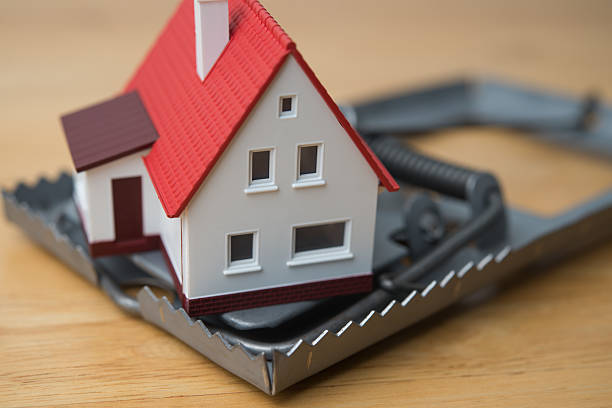 istockphoto-2214307217-612x612 (1)