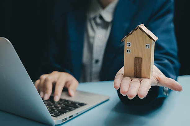 istockphoto-2249586576-612x612 (1)