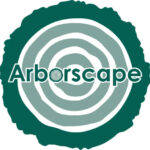 Site Clearance uk