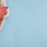 Liver Function Test