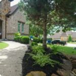 Landscape Installation in Austin