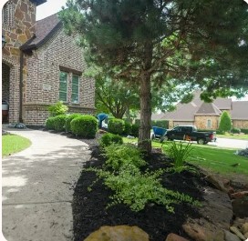 Landscape Installation in Austin