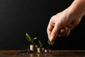 Mutual Fund Investment Plans for Beginners in India