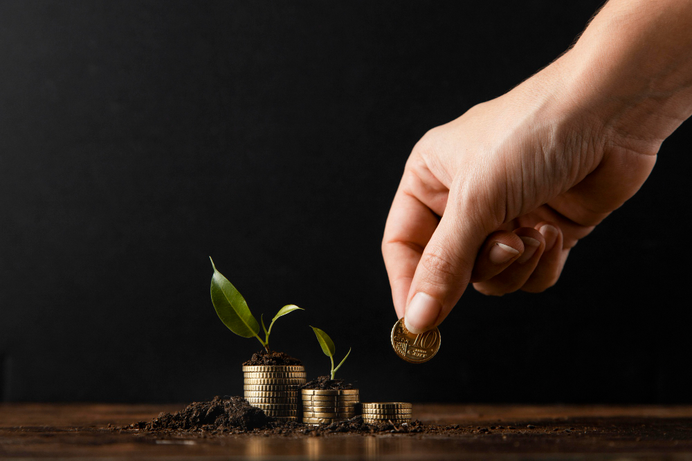 Mutual Fund Investment Plans for Beginners in India