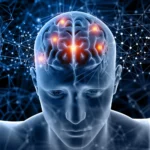 BrainLive