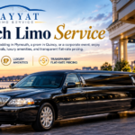 Stretch Limo Service