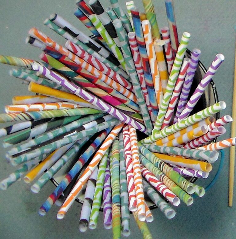 Custom Paper Straws