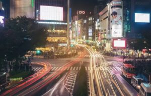 Japan trip with private driver