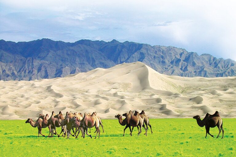 Mongolei Reisen