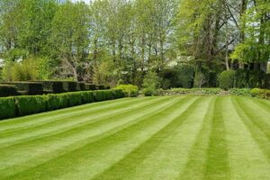 Lawn care services flower mound TX